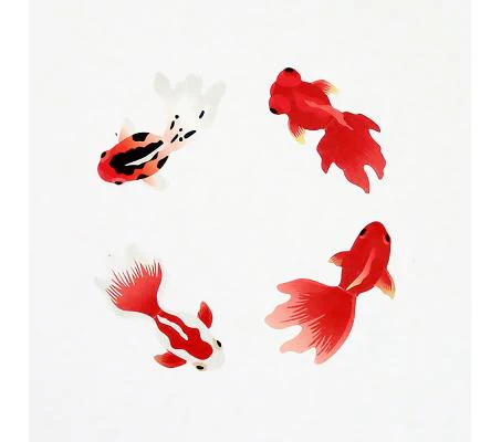 Bande Goldfish - Image 3