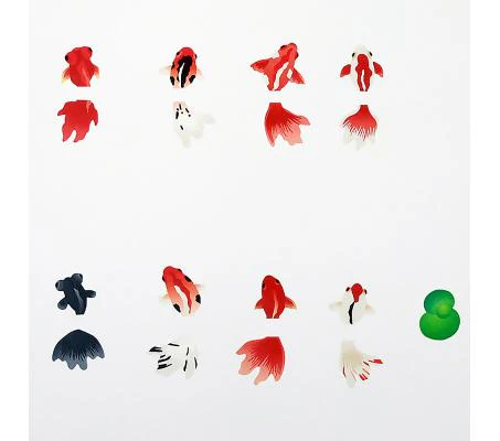 Bande Goldfish - Image 4