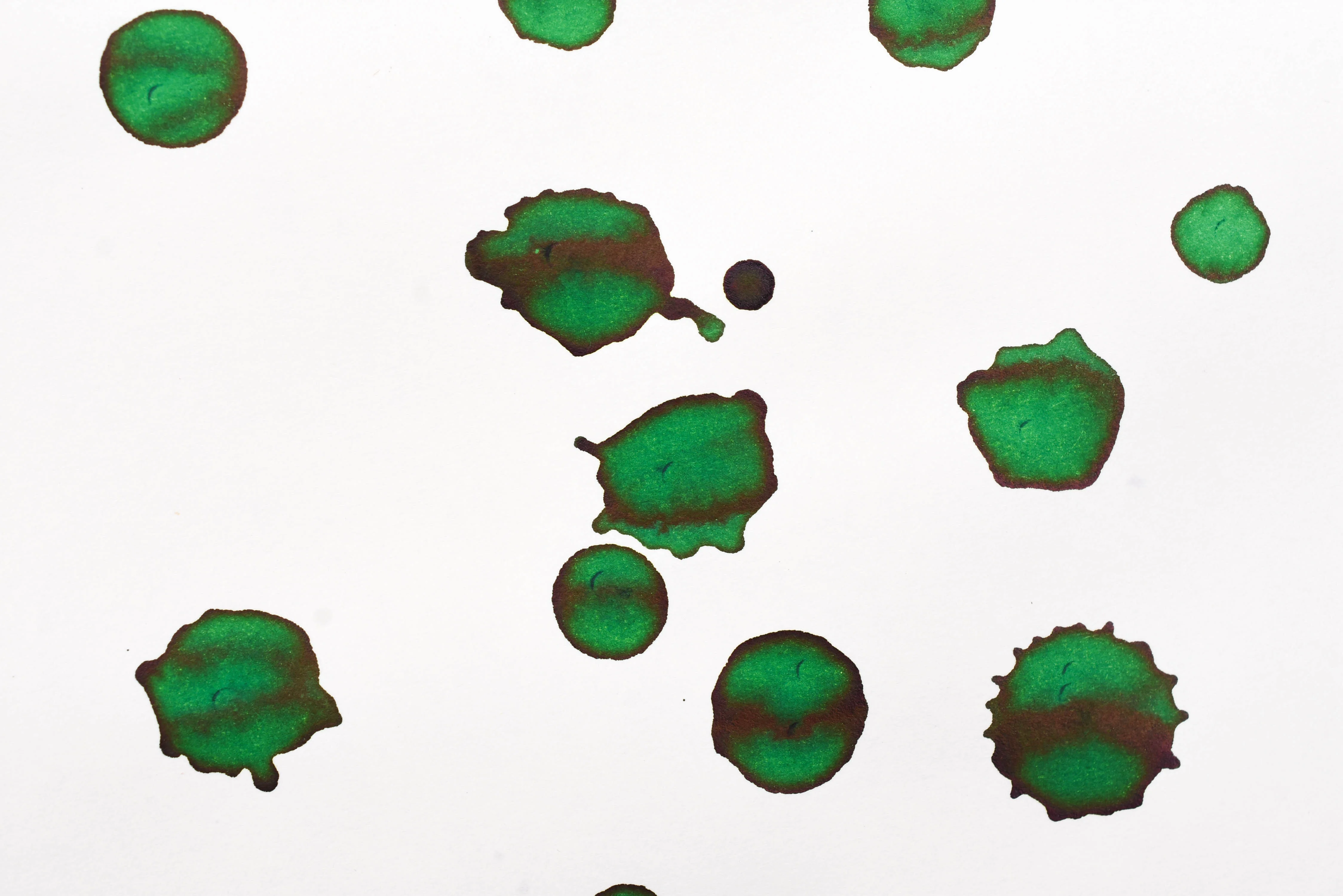 Pilot Iroshizuku Ink - Shin-ryoku - 50 mL Bottle Ink - Image 5