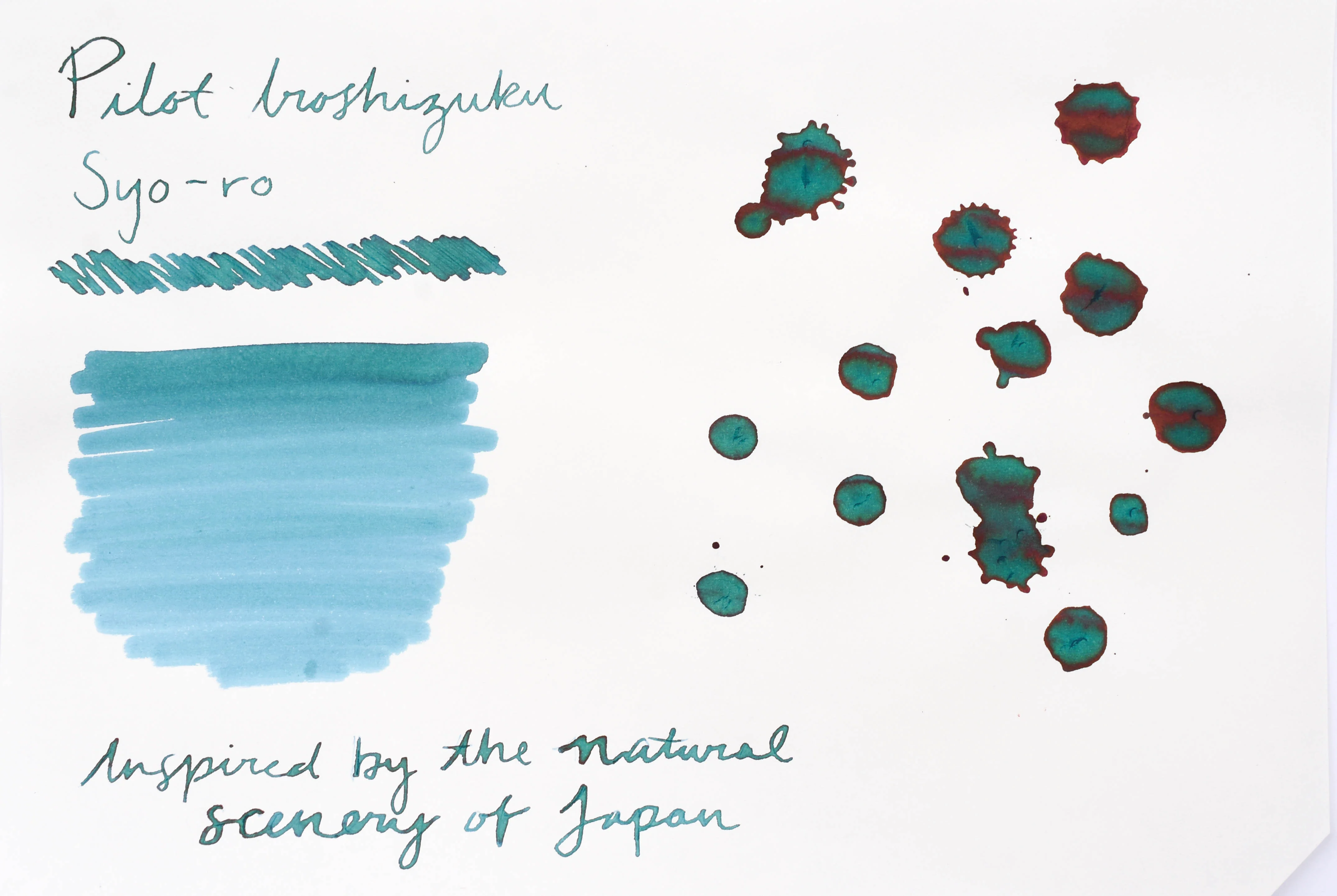 Pilot Iroshizuku Ink - Syo-ro - 50 mL Bottle Ink - Image 3