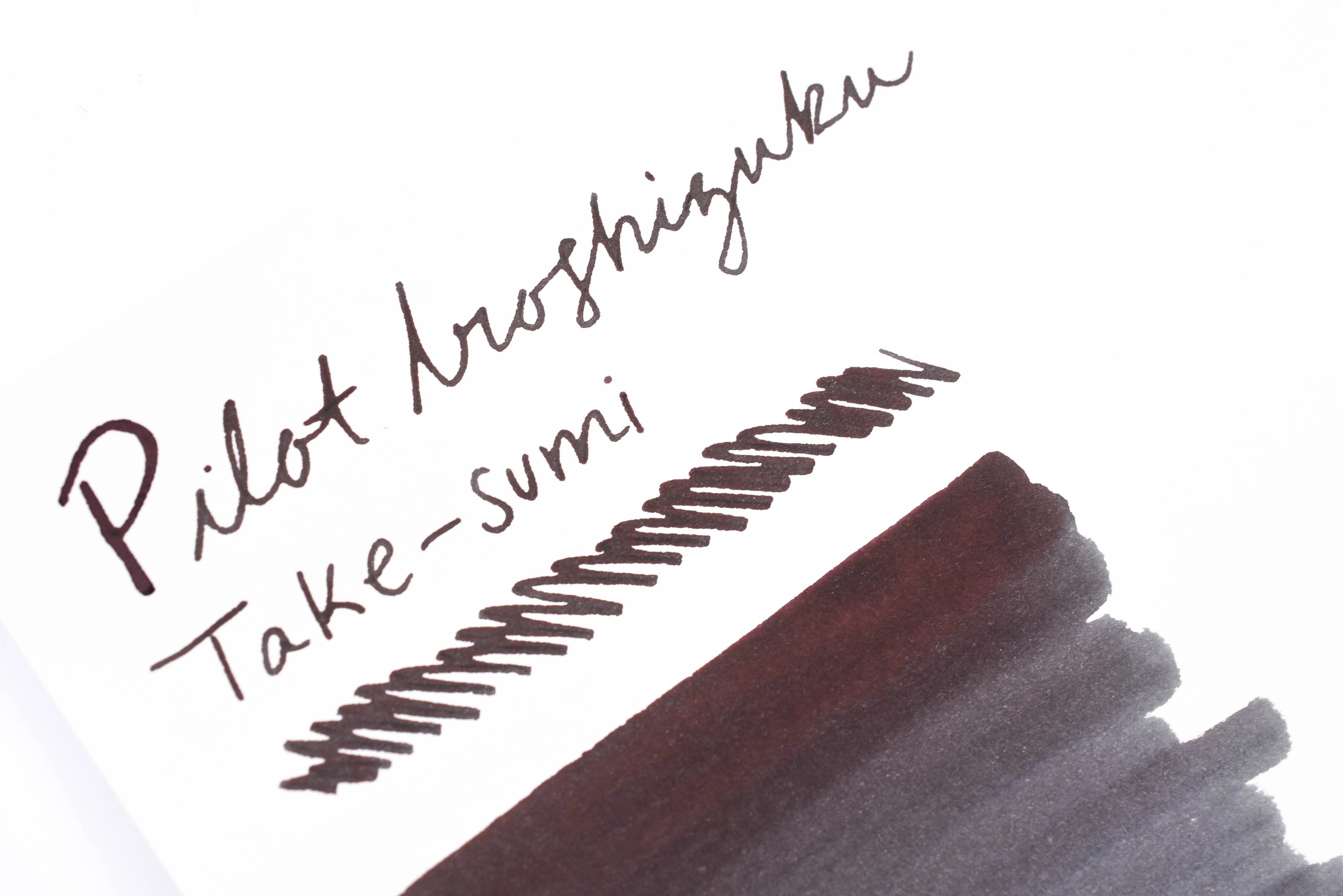 Pilot Iroshizuku Ink - Take-sumi - 50 mL Bottle Ink - Image 4