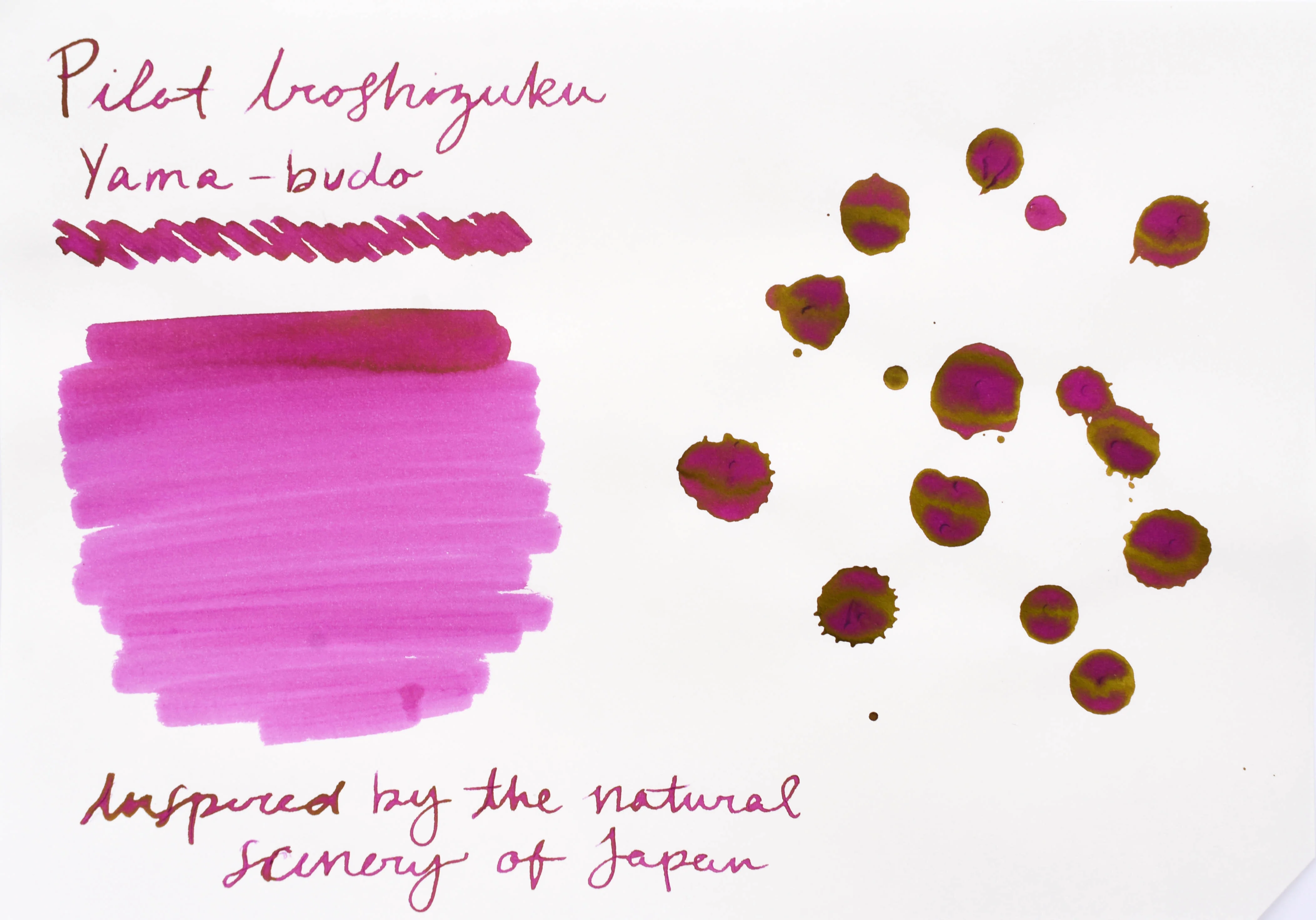 Pilot Iroshizuku Ink - Yama-budo - 50 mL Bottle Ink - Image 3