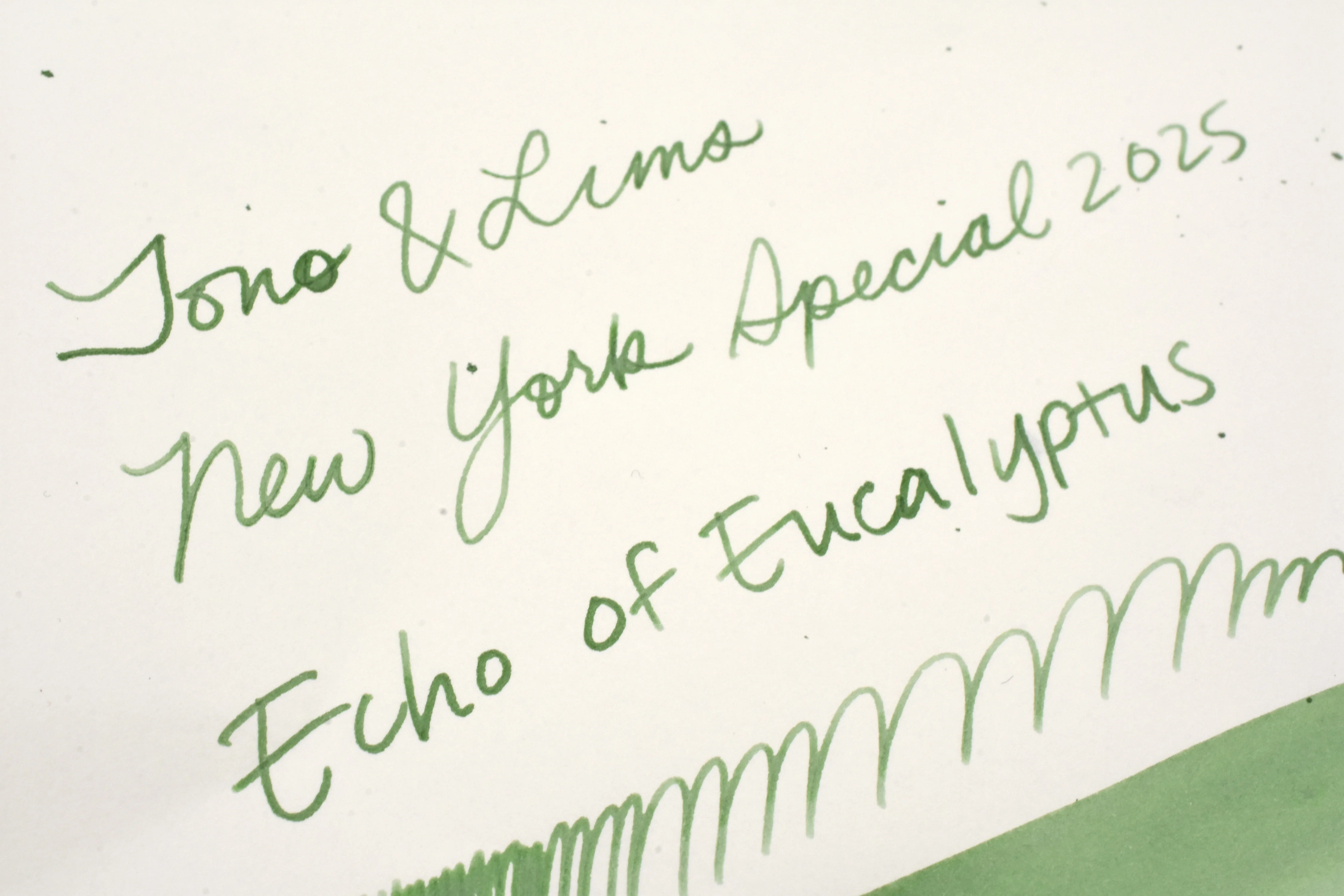 Tono & Lims Ink Bottle - A Space Walk at Yoseka - Echo of Eucalyptus - 30ml - Limited Edition - Image 4